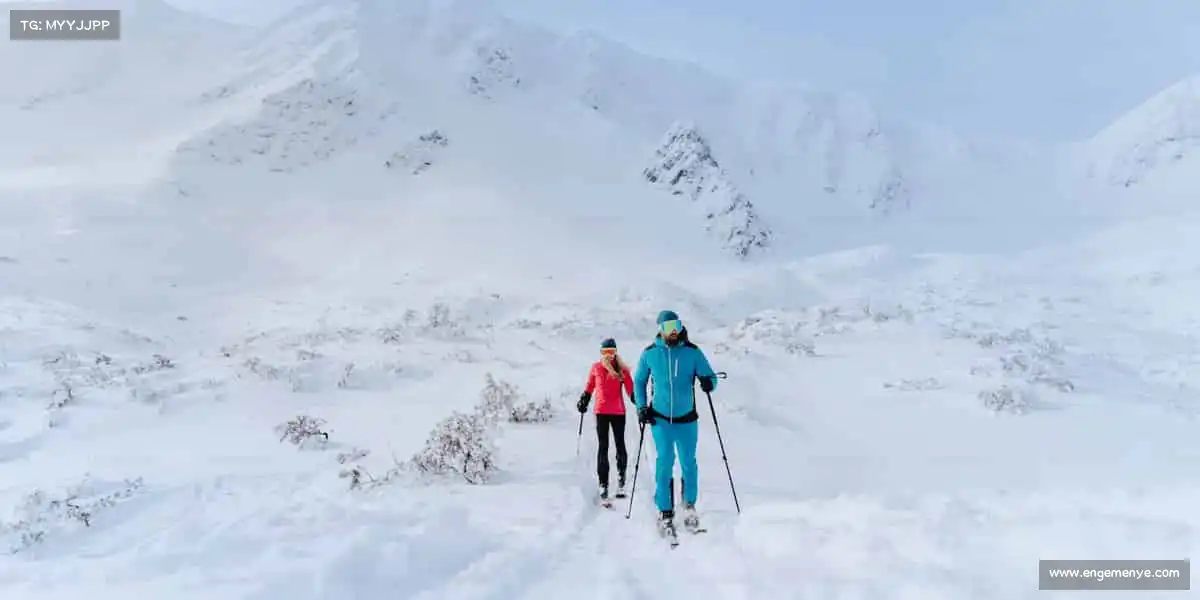 我们的品牌价值